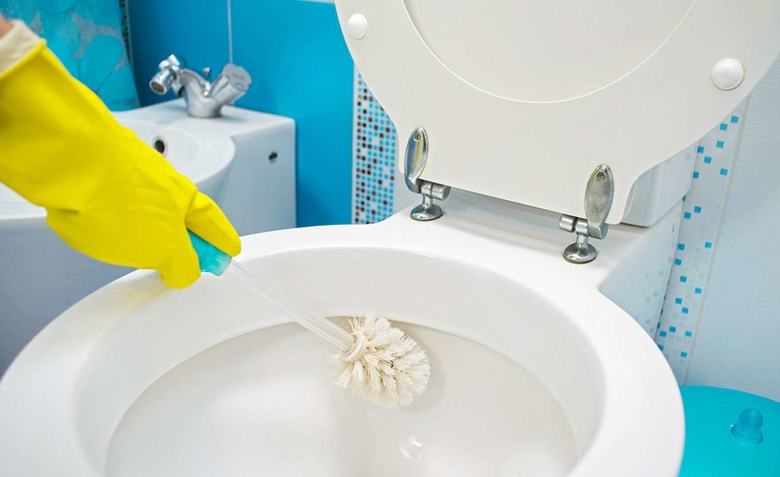 Tuvalet Temizliği | Tuşba Temizlik